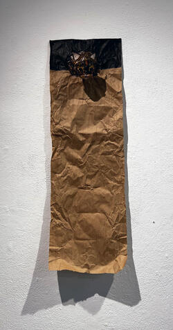 kitchen cabinet critter